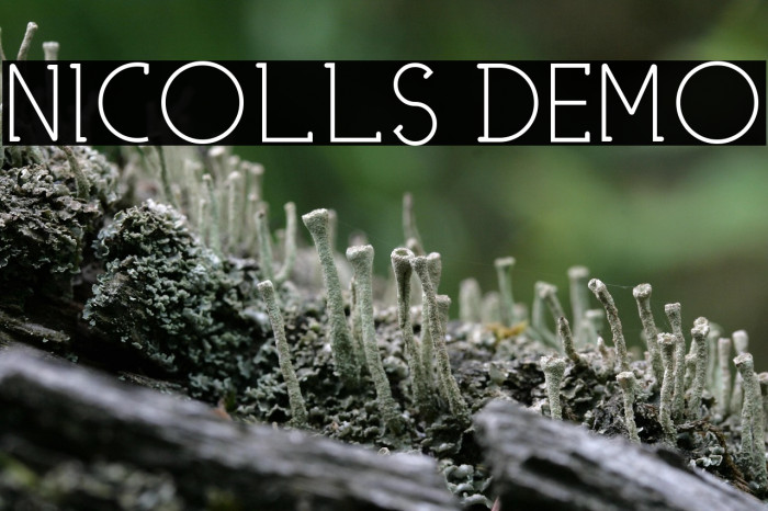 NICOLLS DEMO Example 3