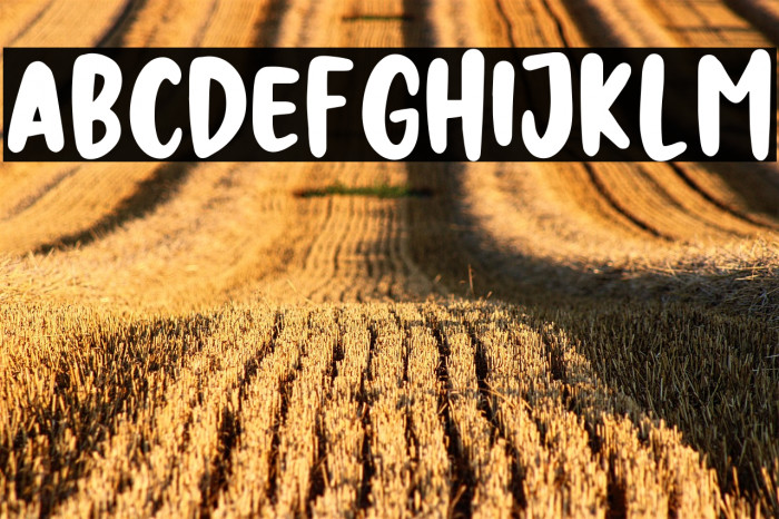 NIGHT HUNTER Example 2