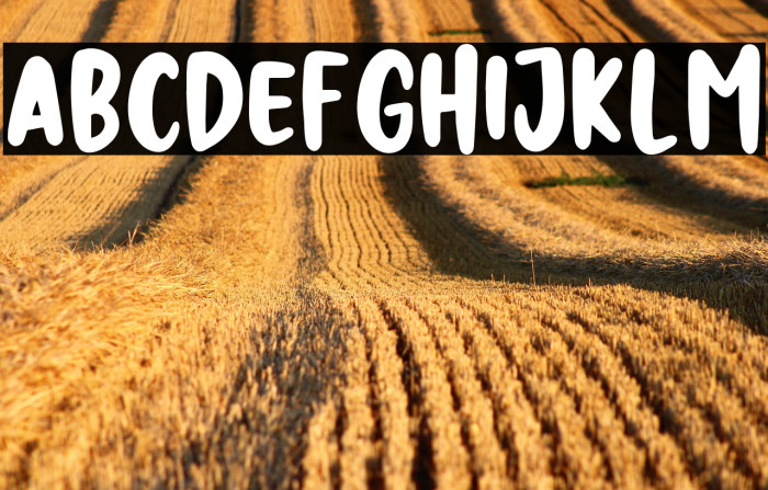 NIGHT HUNTER Example 3