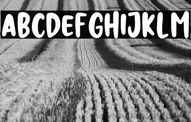 NIGHT HUNTER Font examples