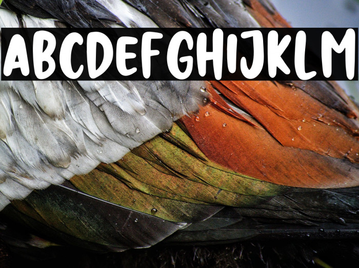 NIGHT HUNTER Example 3