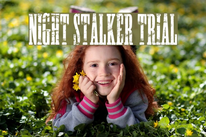 NIGHT STALKER TRIAL Шрифта examples