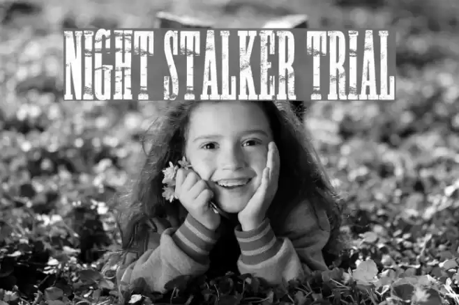 NIGHT STALKER TRIAL Font examples