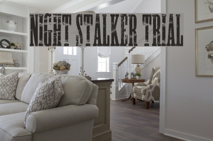 NIGHT STALKER TRIAL Шрифта examples