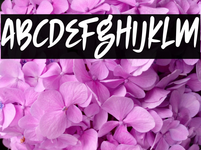 NIGHTHUNTER Example 1