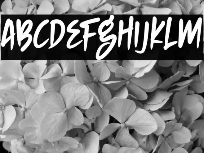 NIGHTHUNTER Font examples