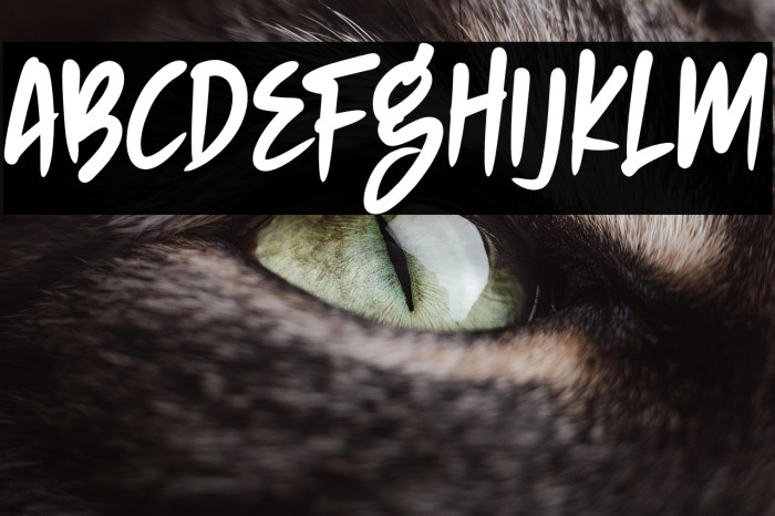 NIGHTHUNTER Example 2