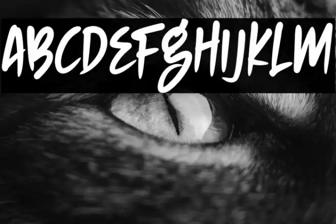 NIGHTHUNTER Font examples