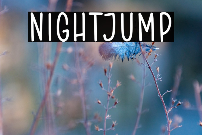 NIGHTJUMP Example 3