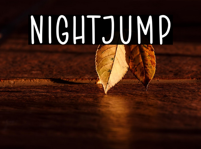 NIGHTJUMP Example 2