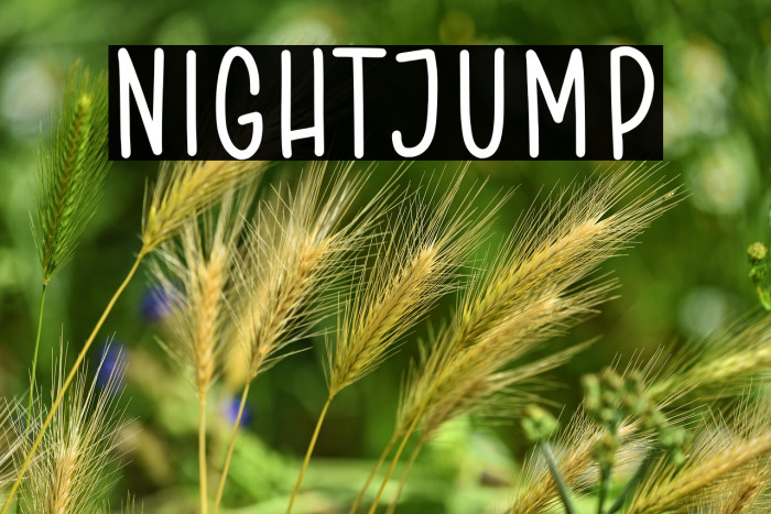 NIGHTJUMP Example 3