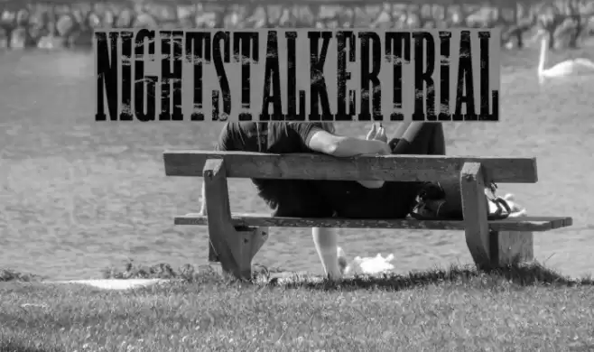 NIGHTSTALKER-TRIAL フォント examples