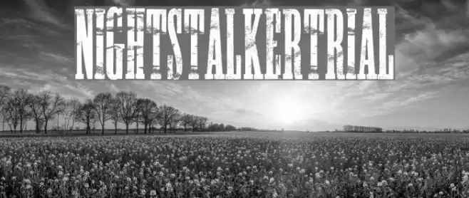 NIGHTSTALKER-TRIAL フォント examples