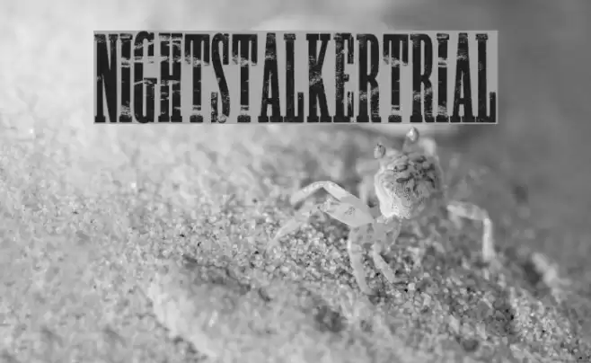 NIGHTSTALKER-TRIAL フォント examples