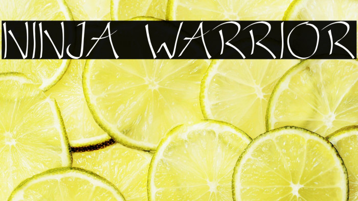 NINJA WARRIOR Example 1