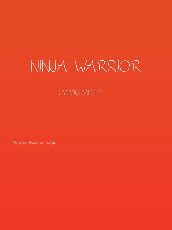 NINJA WARRIOR Poster