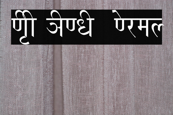 NIRI HINDI  Normal Example 1