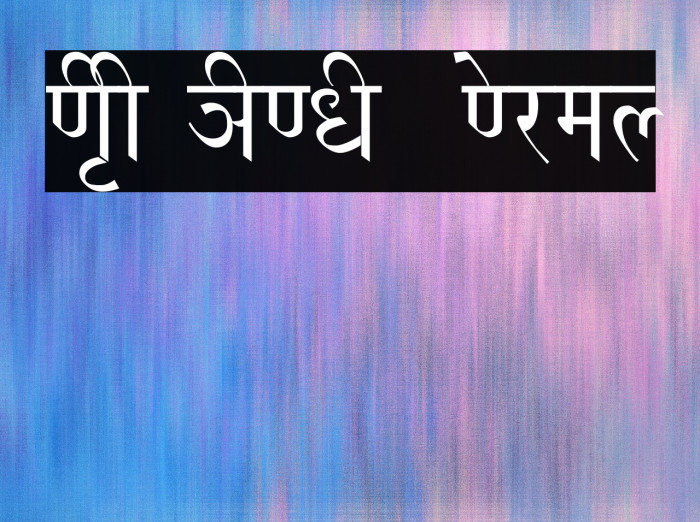 NIRI HINDI  Normal Example 2