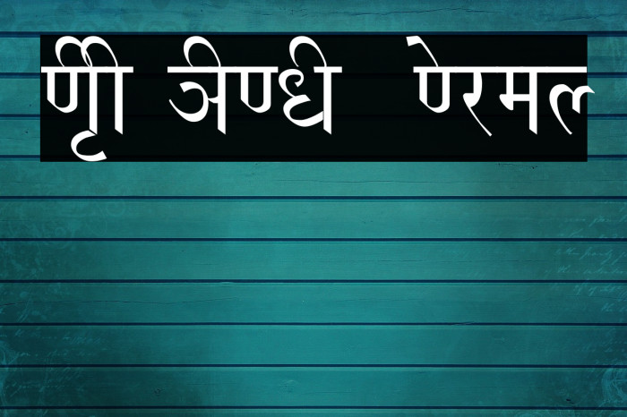 NIRI HINDI  Normal Example 3