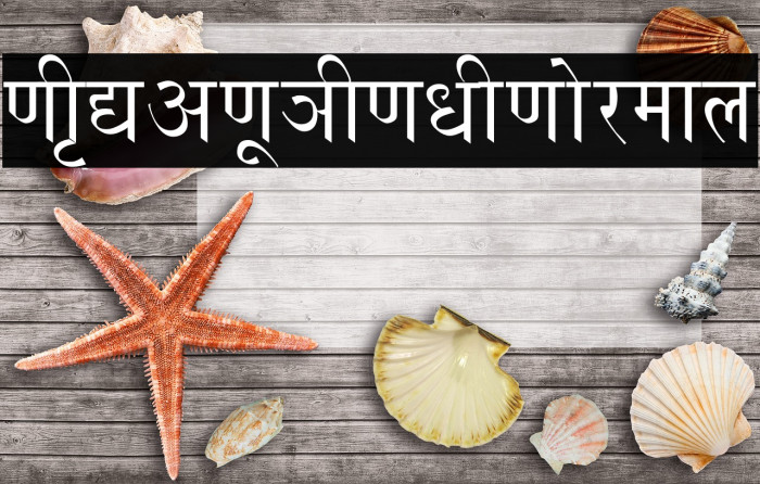 NIRVANU HINDI Normal Example 2