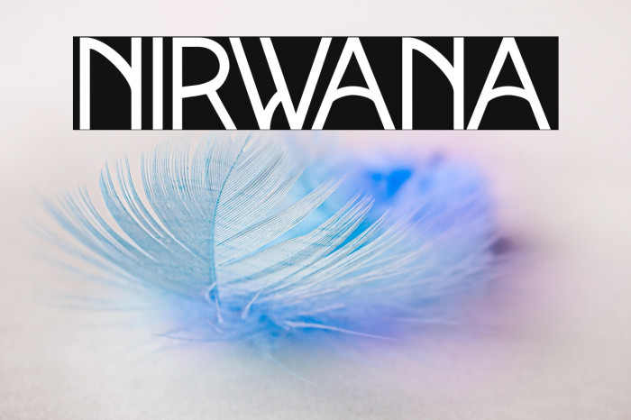 NIRWANA Example 3