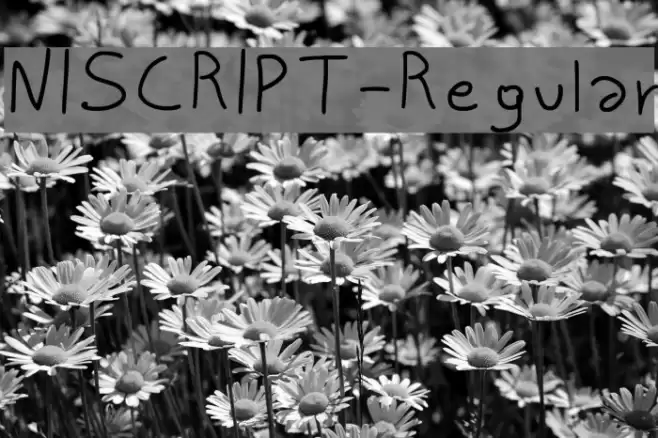NISCRIPT-Regular Font examples
