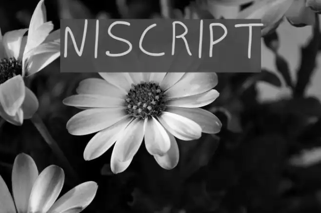 NISCRIPT Example 3