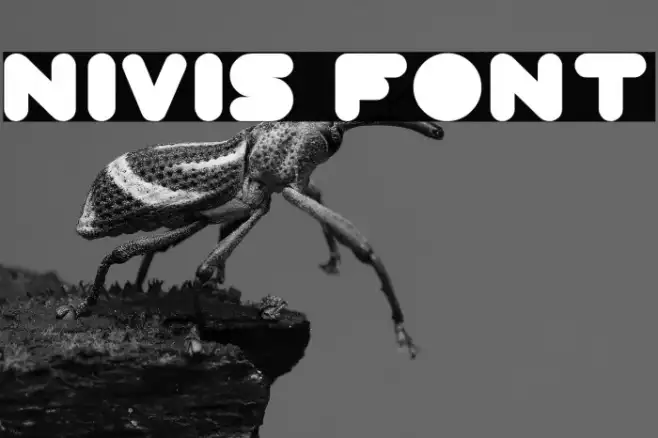 NIVIS Example 2