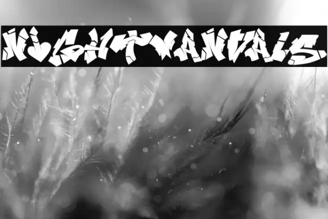 NIghtvandals Example 1