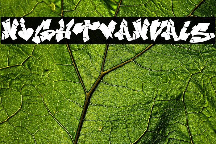 NIghtvandals Example 2