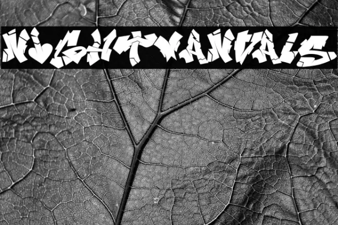 NIghtvandals Example 2