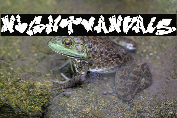 NIghtvandals Example 3