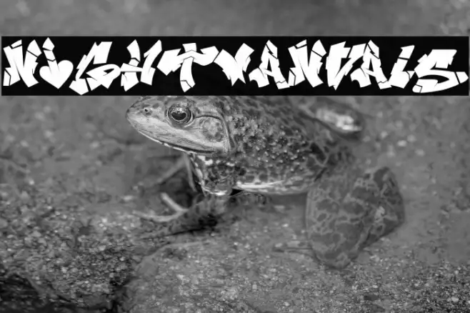 NIghtvandals Example 3