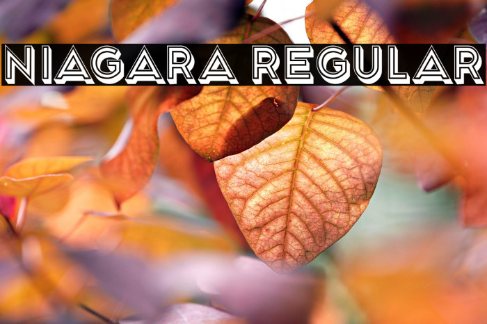 Niagara Regular Example 1