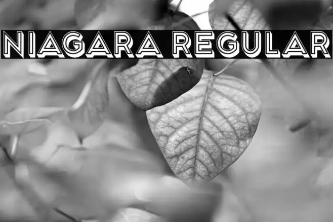 Niagara Regular Example 1