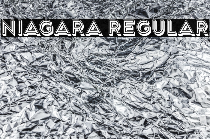 Niagara Regular Example 2