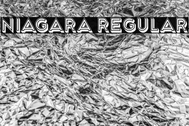Niagara Regular Example 2