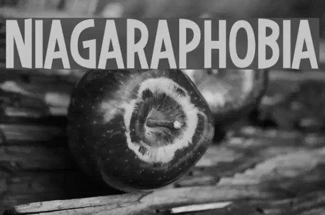 Niagaraphobia Font examples