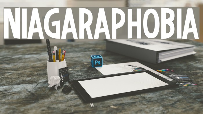 Niagaraphobia Example 2