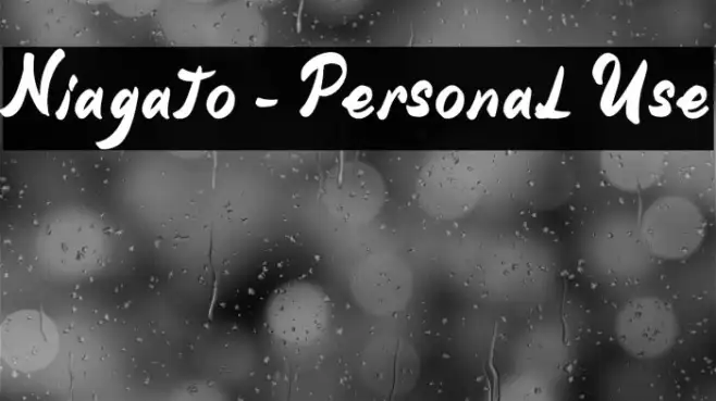 Niagato - Personal Use Example 1