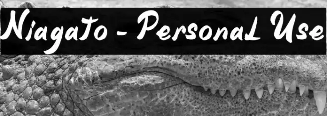 Niagato - Personal Use Example 2