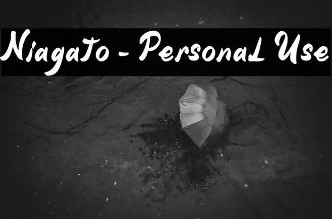 Niagato - Personal Use Example 3
