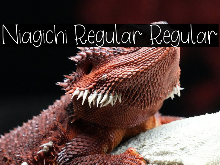 Niagichi Regular Regular Example 1