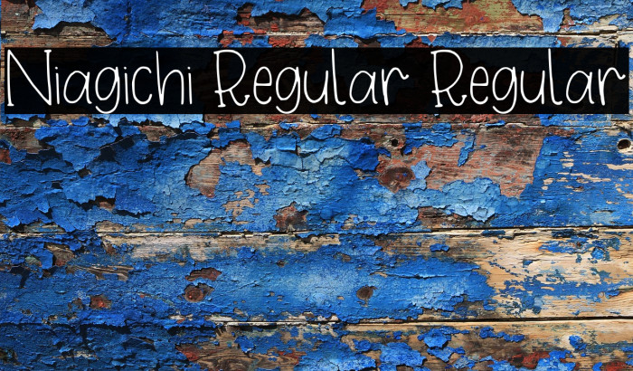 Niagichi Regular Regular Example 3