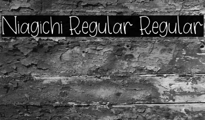 Niagichi Regular Regular Example 3