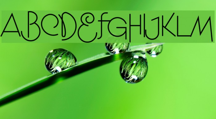 Niagra Faults Example 3