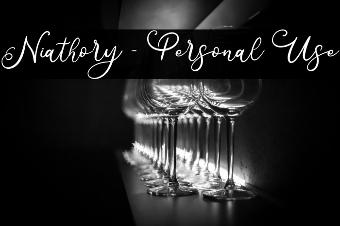 Niathory - Personal Use Example 3