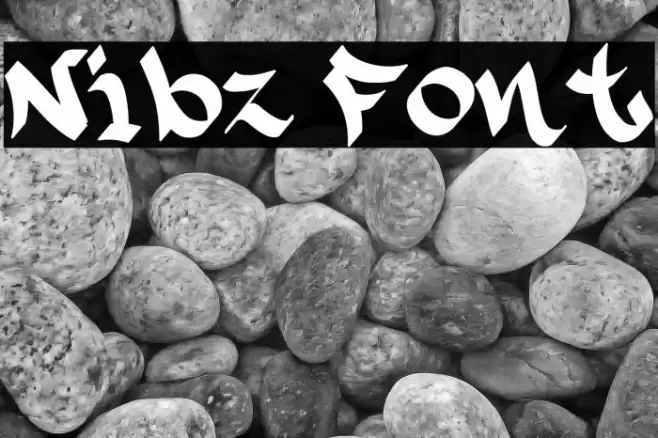 Nibz 字体 examples