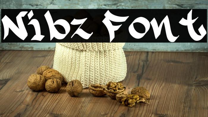 Nibz Example 2
