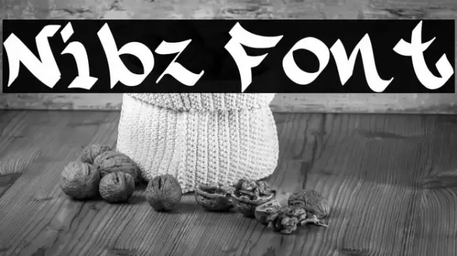 Nibz 字体 examples